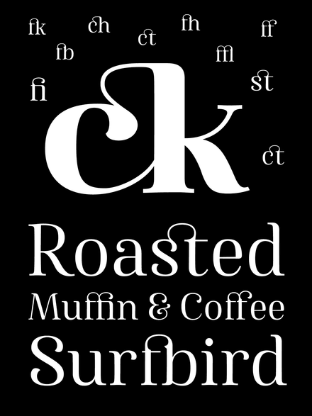 Famosa Family | 7 Font Styles - V2