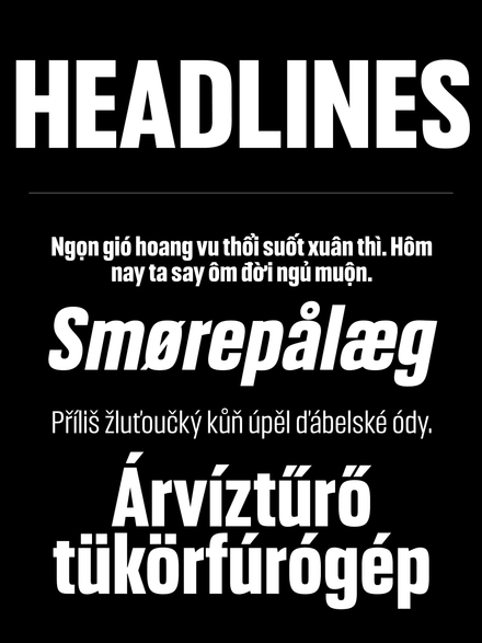 Headlines Family | 14 Font Styles