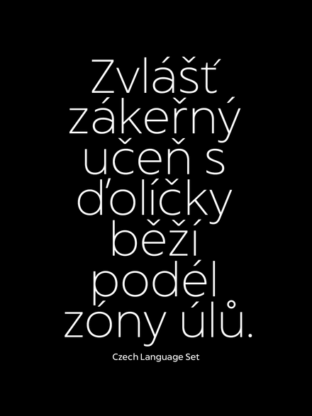 Captura Now Family | 18 Font Styles - V2