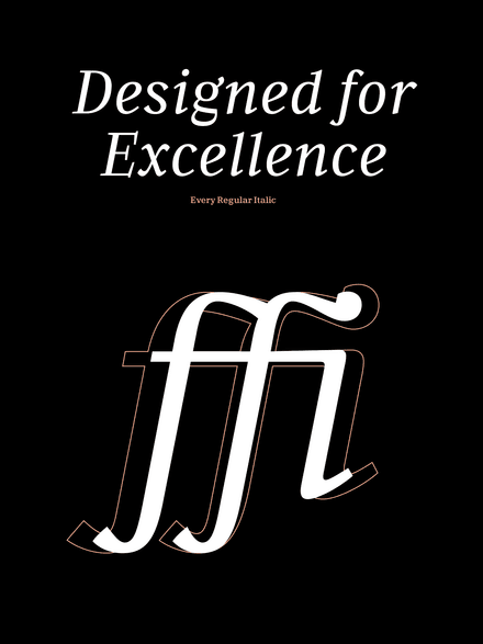 Every Family | 24 Font Styles - V2