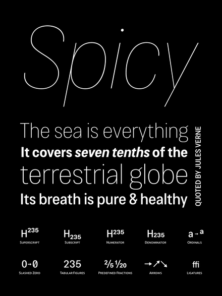 Cosima Family | 16 Font Styles - V2