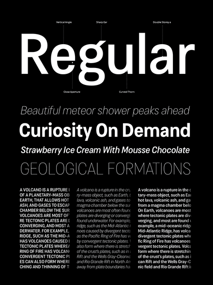 Cosima Family | 16 Font Styles - V4