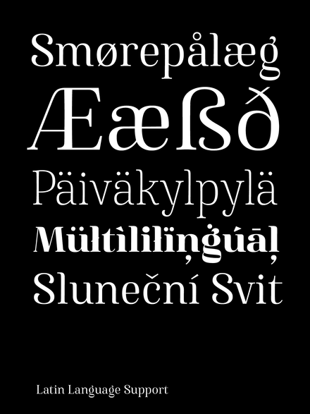 Famosa Family | 7 Font Styles - V4