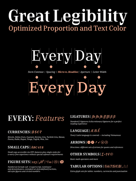 Every Family | 24 Font Styles - V4