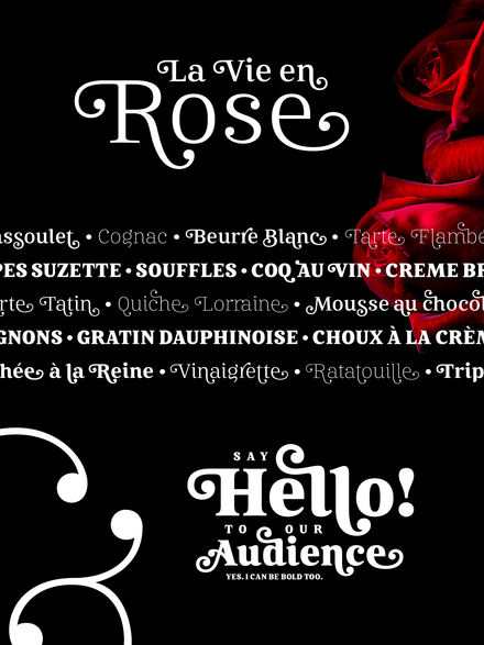 Mireille Family | 7 Font Styles - V3
