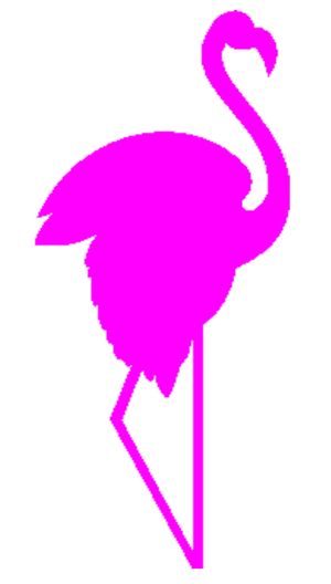 Prom Night for the Flamingos