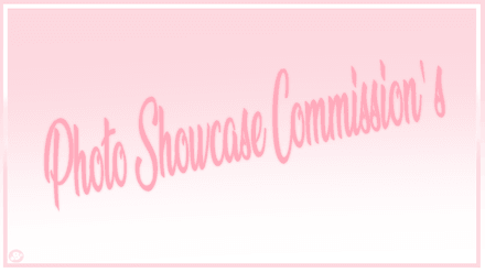 𓆩♡𓆪 Cheap Photo Showcases! [Read Description] 