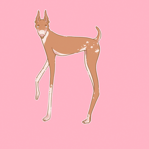 𓆩♡𓆪 Barklynn's Longgg Doggie!