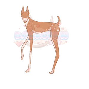 𓆩♡𓆪 Barklynn&#x27;s Longgg Doggie!
