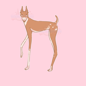 𓆩♡𓆪 Barklynn's Longgg Doggie!