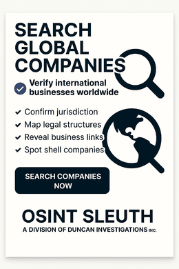 Global Company Search Investigation Service