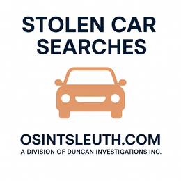 Stolen Vehicle Searches in the USA