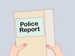 Winnipeg Police Report 