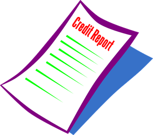 Supplier Risk Reports in the USA