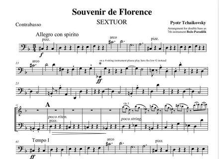 TCHAIKOVSKY | Souvenir de Florence op.70 | DOUBLE BASS AS SEVENTH