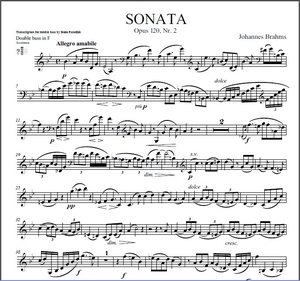 BRAHMS  |  Sonata in E♭ major op. 120 No.2  |  BASS ONLY