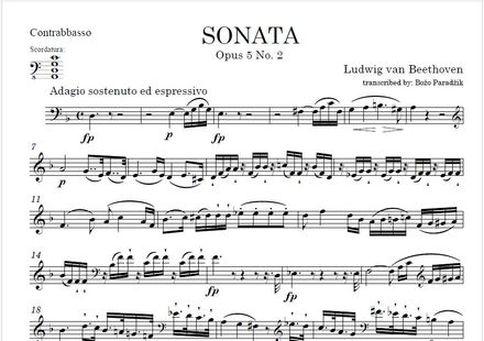 BEETHOVEN | Sonata G minor Op.5 No.2 | DOUBLE BASS ONLY