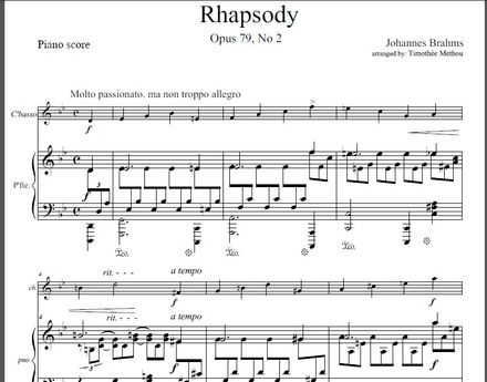 BRAHMS  |  Rhapsody Op. 79 in G minor  |  DOUBLE BASS &amp; PIANO