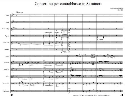 BOTTESINI  |  Concertino (AKA &quot;Concerto N°2 in B minor&quot;)  -  FULL ORCHESTRA