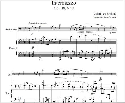 BRAHMS | Intermezzo A major op. 118 No. 2 - DOUBLE BASS &amp; PIANO