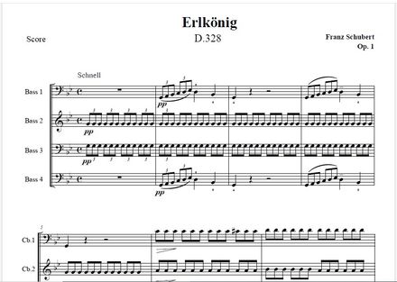 SCHUBERT  |  Erlkönig op.1  |  QUARTET of DOUBLE BASSES