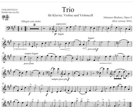 BRAHMS | Trio Opus 8 - first version 1854 - DOUBLE BASS ONLY