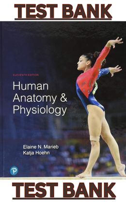 TEST BANK to Human Anatomy &amp; Physiology, 11th Edition by Elaine Marieb &amp; Katja Hoehn - Complete