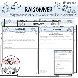 ENSEMBLE DE PROBLÈMES - PRÉPARATION MELS 
