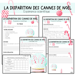 La disparition des cannes de Noël