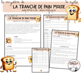 Le mystère de la tranche de pain moisie