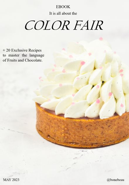COLOR FAIR [E-BOOK] 