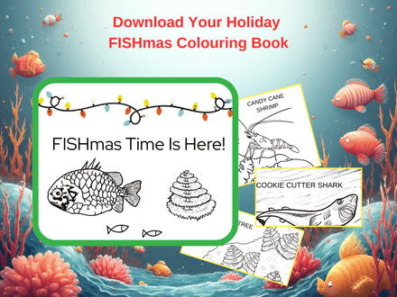 A Holiday Colouring Book
