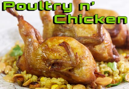 Poultry Chapter فصل الدجاج والطيور