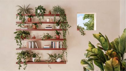 Zoom background Meticulously crafted illustration  wooden 002
