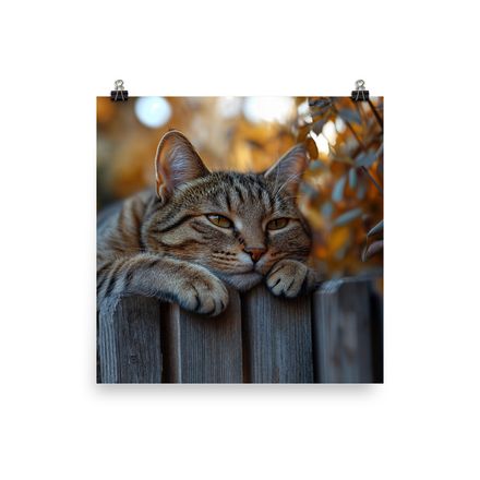 Autumn Contemplation