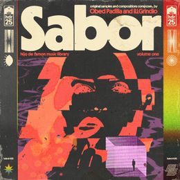 Hijo De Ramon Music Library 25 &quot;Sabor&quot;