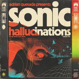 Hijo De Ramon Music Library 22 &quot;Sonic Halllucinations&quot;