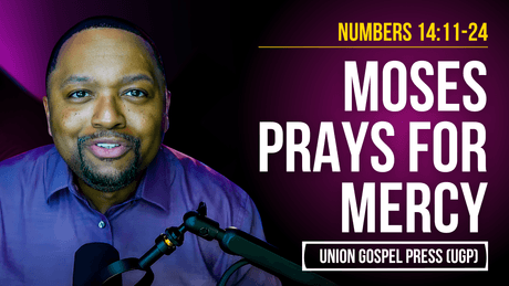 Numbers 14:11-24 | Moses Prays for Mercy