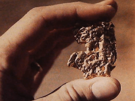 Getting Back to the Basics