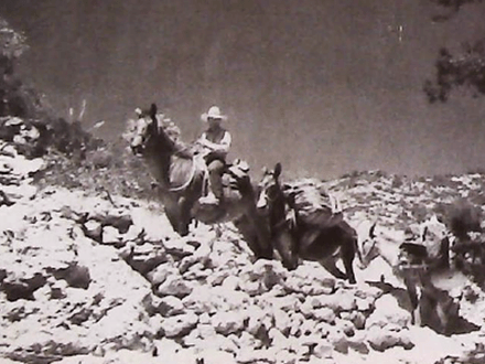 Southwestern Treasure