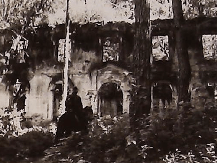 How To Explore Jungle Ruins