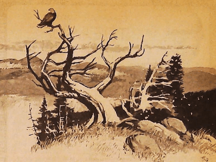 Silver Secret of the Catskills