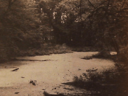 TH’ers Find 200-Year-Old Camp