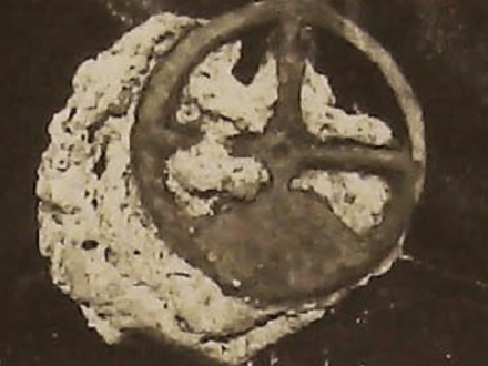 Treasure Divers and Everyone’s Favorite Pirate