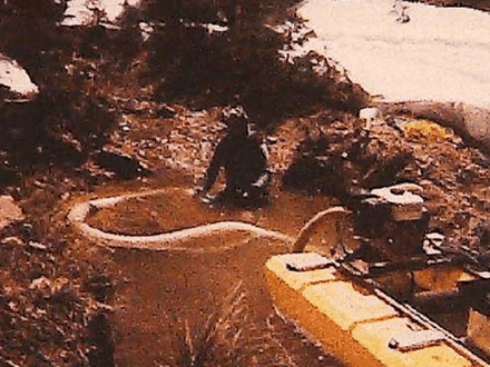 Gold Mining Adventure