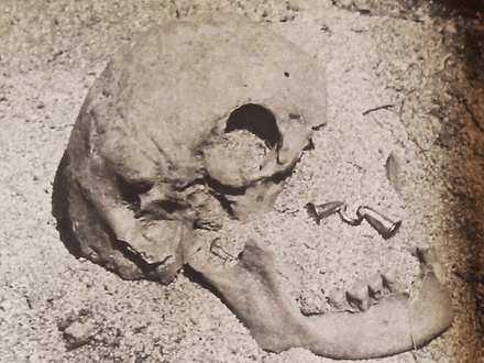 Indian Gold of Concha Bay