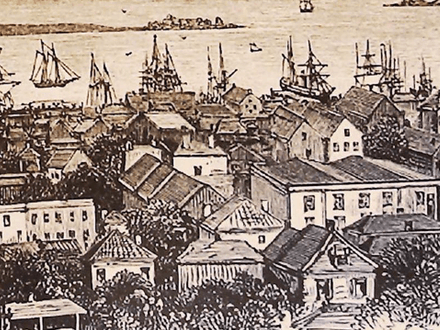 Edgar Allan Poe’s The Gold-Bug and the Hampton Plantation Treasure