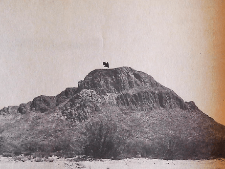 Lost Loot of El Tejano, New Leads