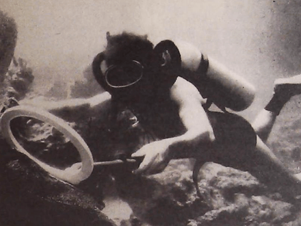 The $40 Million Dollar Man