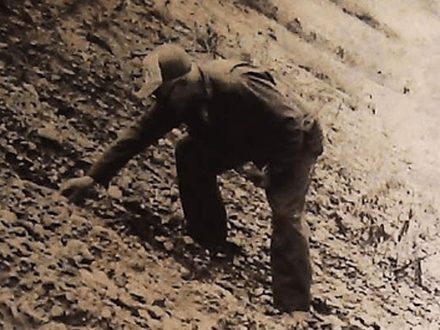 Where to Find Petoskey Stones